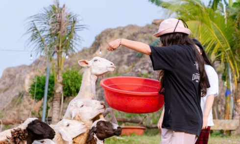 LÀM BẠN VỚI THÚ CƯNG VÀ CÂY CỎ