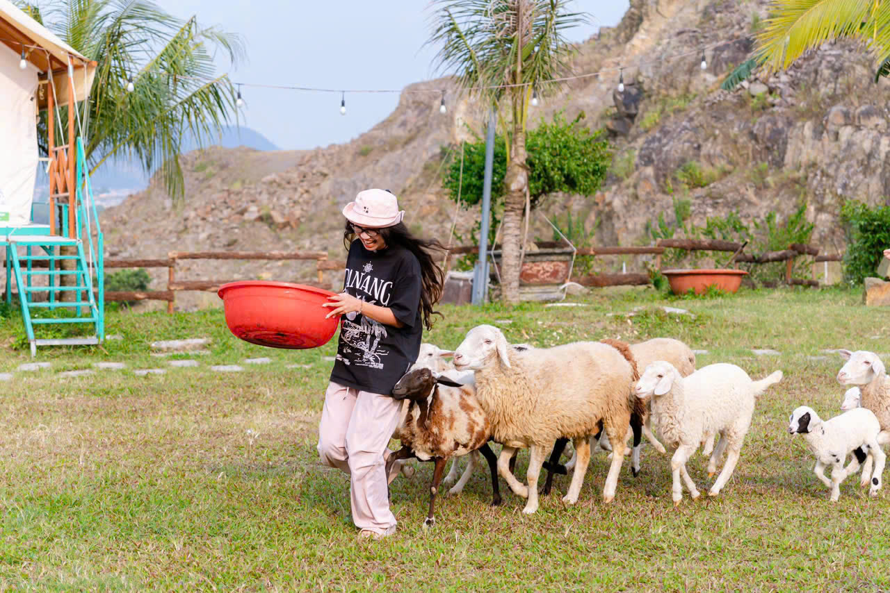 Hoạt động trải nghiệm giáo dục