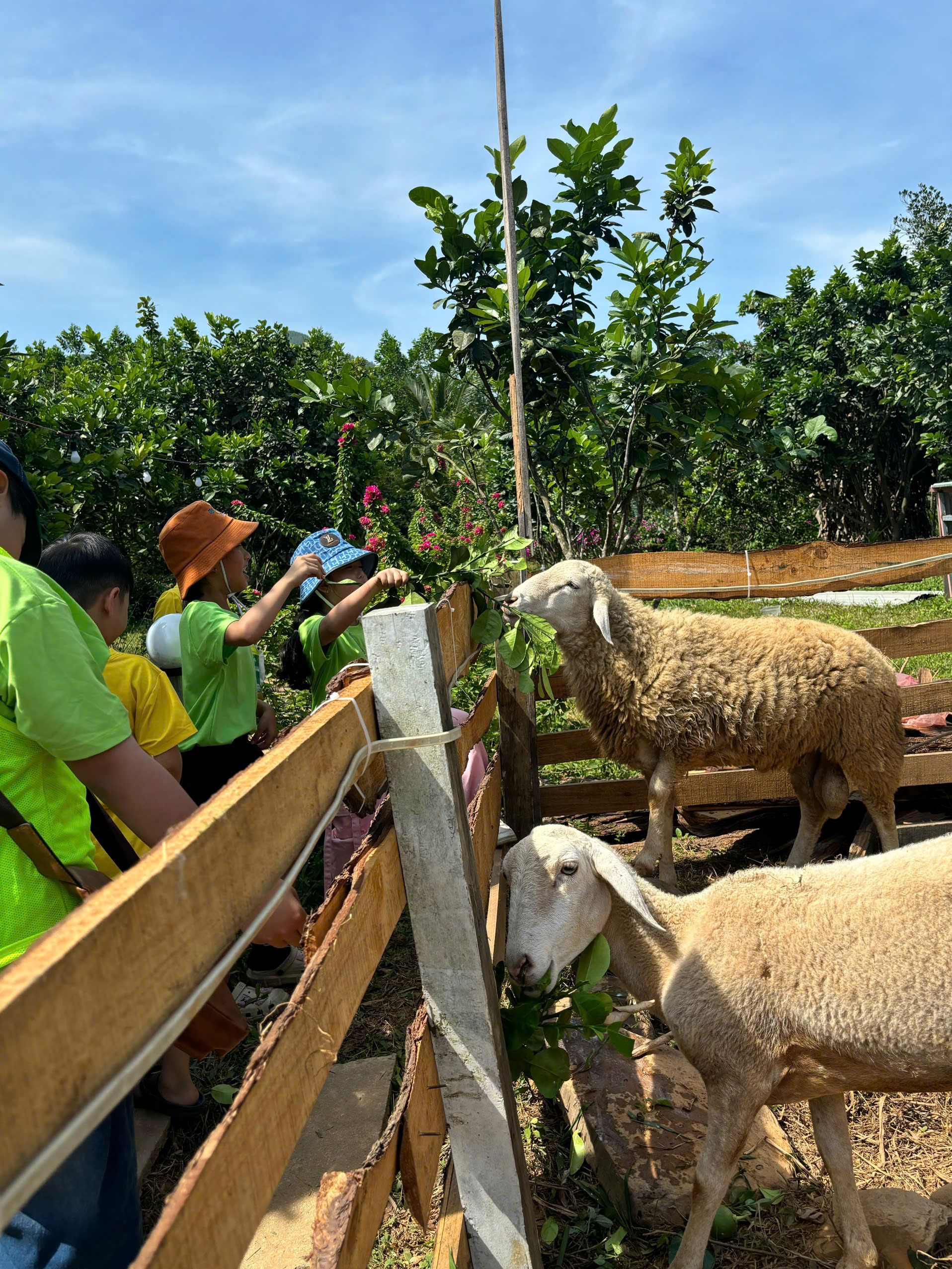 Gói Trải Nghiệm Trong Ngày 